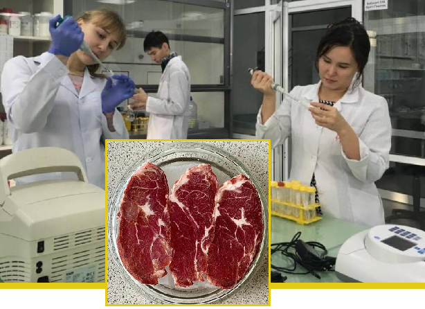 В Казахстане разработан ПЦР-тест для выявления фальсификации мясной продукции