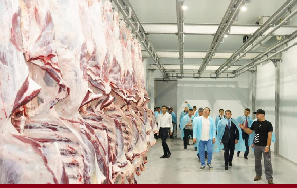 Закрыты ли внешние рынки для экспорта говядины из Казахстана? — заявление Минсельхоза 