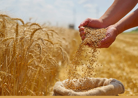 Какие регионы Казахстана стали лидерами по темпам роста в агропромышленном комплексе?