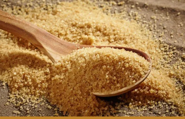 Турецкие инвесторы приступили к строительству завода по производству желатина и коллагена в Алматы