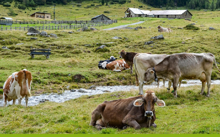 Инвестиции в сельское хозяйство Казахстана за десятилетие выросли почти в 7 раз