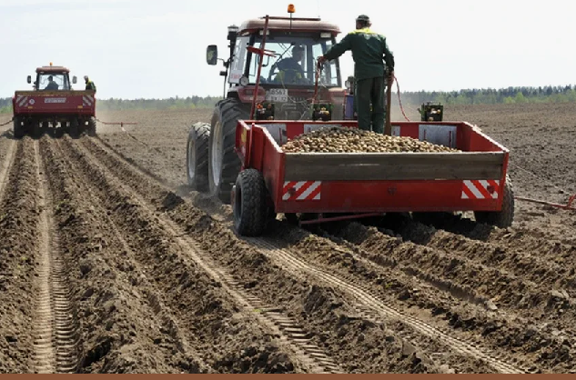 Казахстан: глава Минсельхоза поручил расширить посевные площади картофеля 