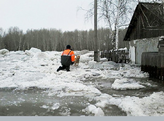 Опасная вода: в Казахстане в зоне риска подтопления остаются 276 населенных пунктов 