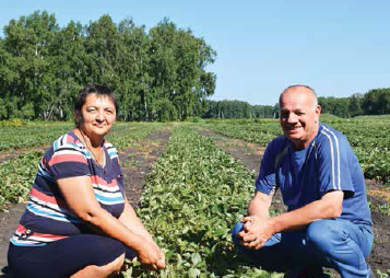 Клубничное царство Полькиных