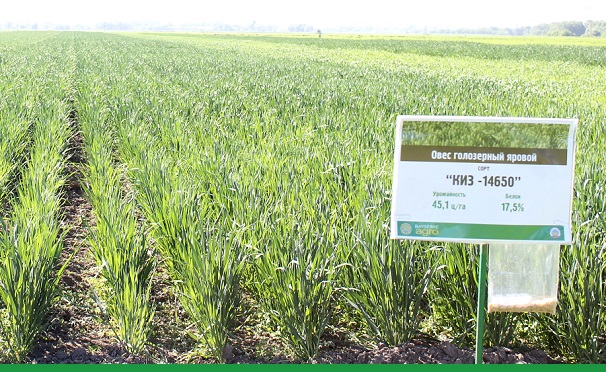 Прародитель аграрной науки Казахстана